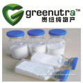 High Quality Top Grade 40%/90% hyaluronic acid powder